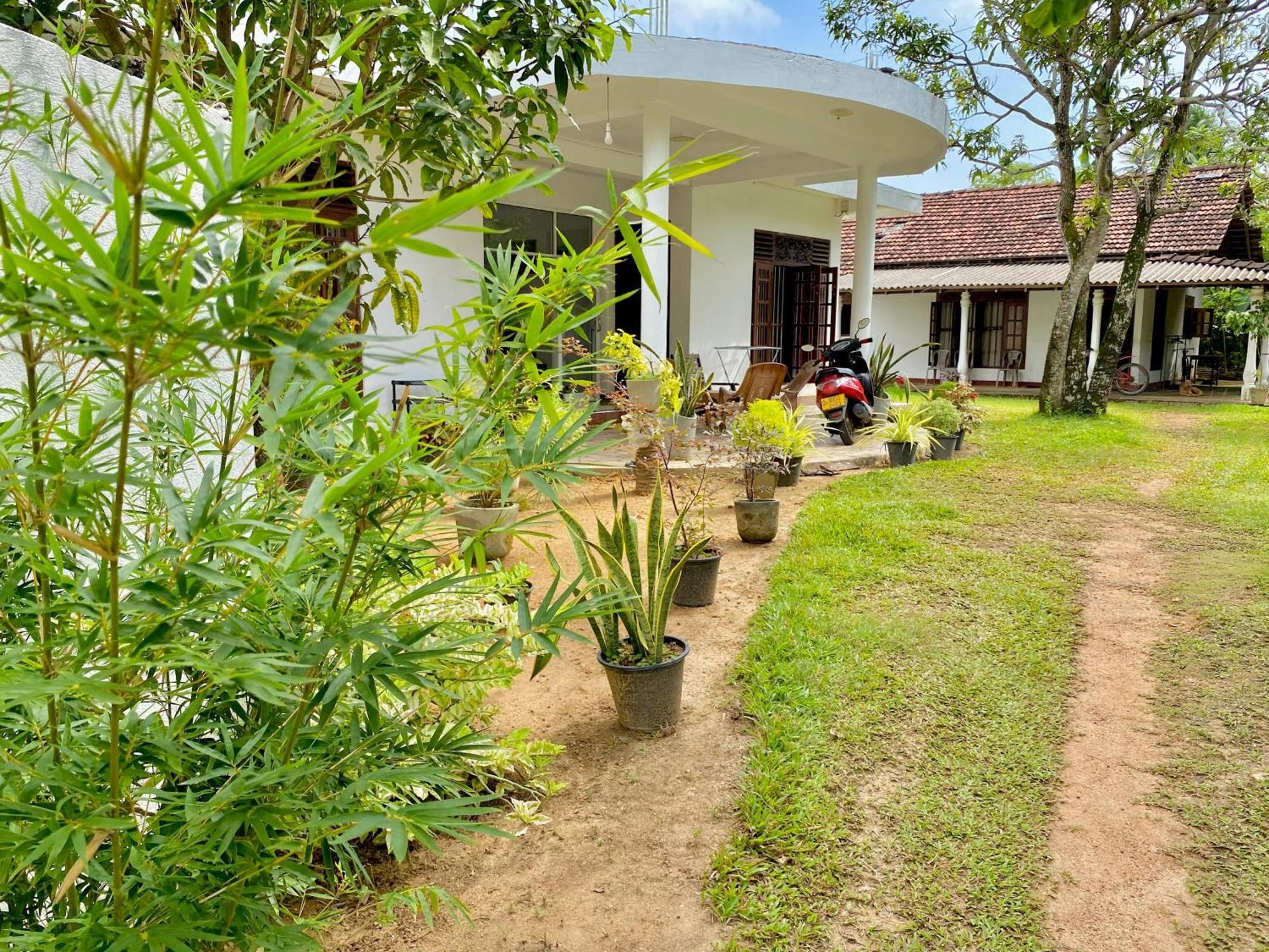 Sasmika Villa Surf&Yoga Hostel Weligama Esterno foto