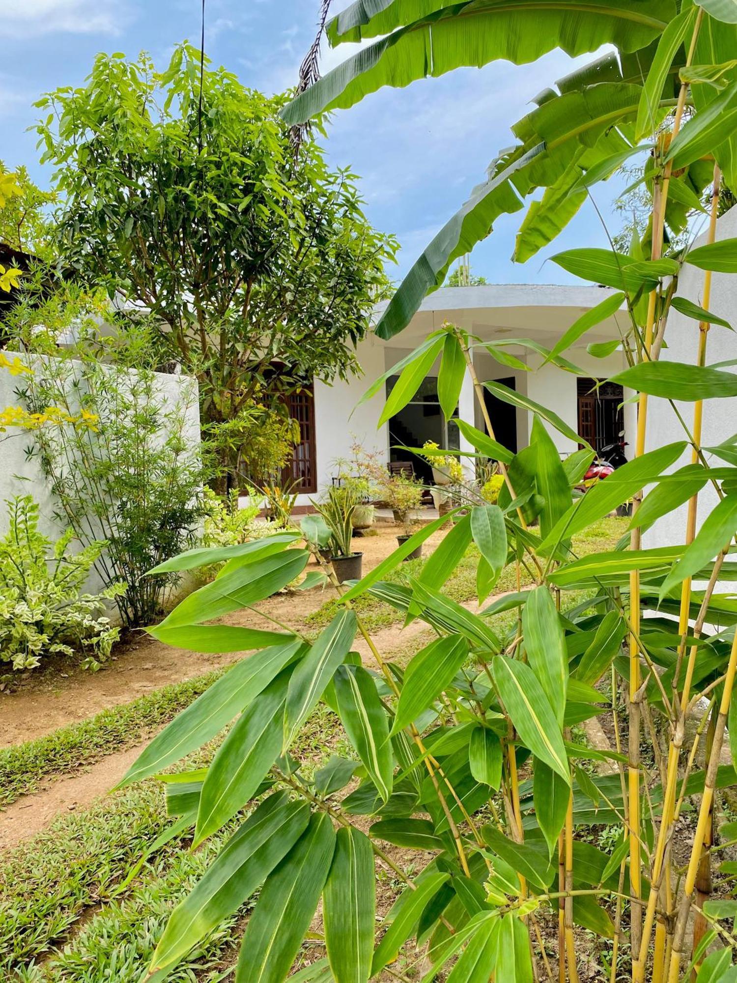Sasmika Villa Surf&Yoga Hostel Weligama Esterno foto